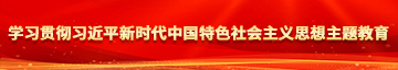 大鸡巴羞羞视频学习贯彻习近平新时代中国特色社会主义思想主题教育